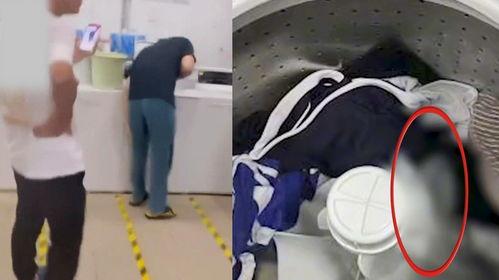 帅男成人用品视频大全套,帅男视频大全套深度解析