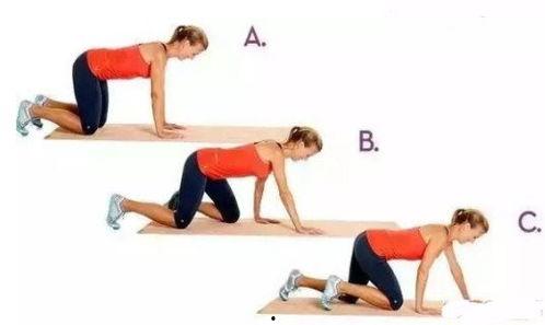 成人双手爬行训练视频