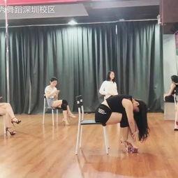 成人霸气舞蹈视频教学,跟随舞蹈视频解锁舞蹈魅力