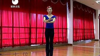 成人舞蹈古典组合视频大全,成人舞蹈组合视频大全赏析