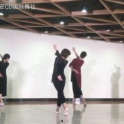 成人舞蹈古典组合视频大全,成人舞蹈组合视频大全赏析