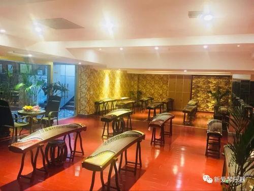 成人古筝练琴房视频大全