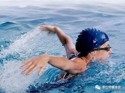 南海成人游泳视频大全集,成人游泳视频大全集精华回顾