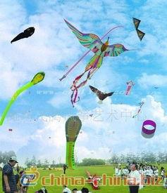 成人风筝的放飞技巧视频,成人风筝放飞技巧揭秘