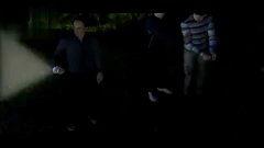 嫖娼野战视频成人,嫖娼野战背后的黑暗人生