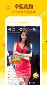 成人深夜直播视频软件,成人视频软件背后的秘密世界