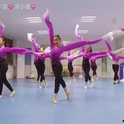 东台成人舞教学视频大全,舞动人生，乐享舞蹈时光