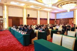 南县今年成人高考视频,揭秘备考策略与学习技巧