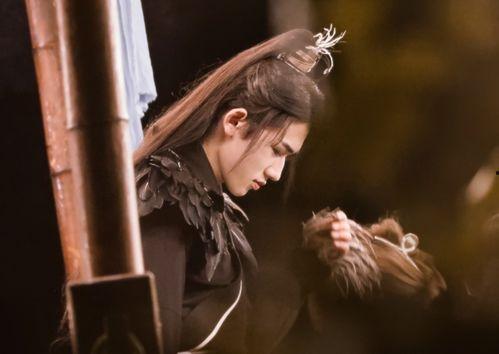 成人古装翩翩少年视频,成人古装视频魅力瞬间