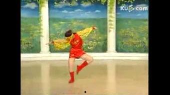 得奖舞蹈视频成人,一位舞者的辉煌历程