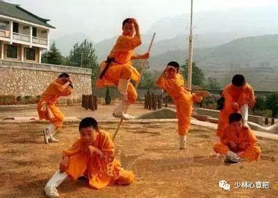 成人猴拳教学视频,成人猴拳入门技巧解析