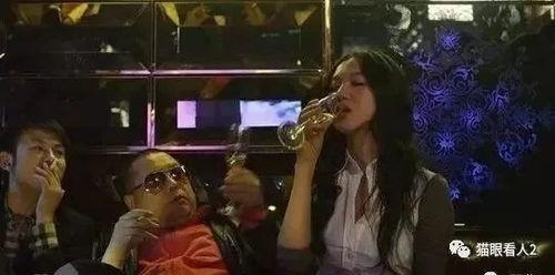 成人导演入门视频大全,视频大全精华解析与实战技巧