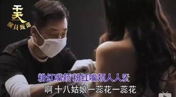 成人导演入门视频大全,视频大全精华解析与实战技巧