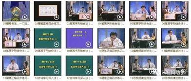 成人练字教学课程视频免费,轻松掌握书法之美