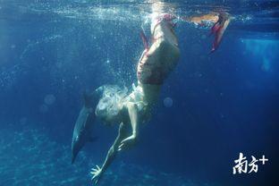 海豚变成人鱼视频下载,揭秘海豚变人鱼神奇视频背后的奥秘