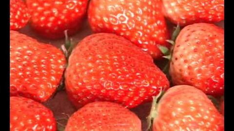 草莓是视频成人,视频成人的甜蜜诱惑与隐忧