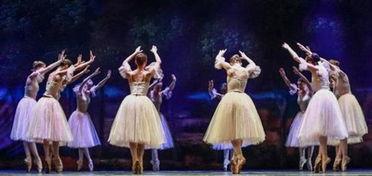 成人芭蕾剧目群舞视频,成人芭蕾剧目群舞视觉盛宴