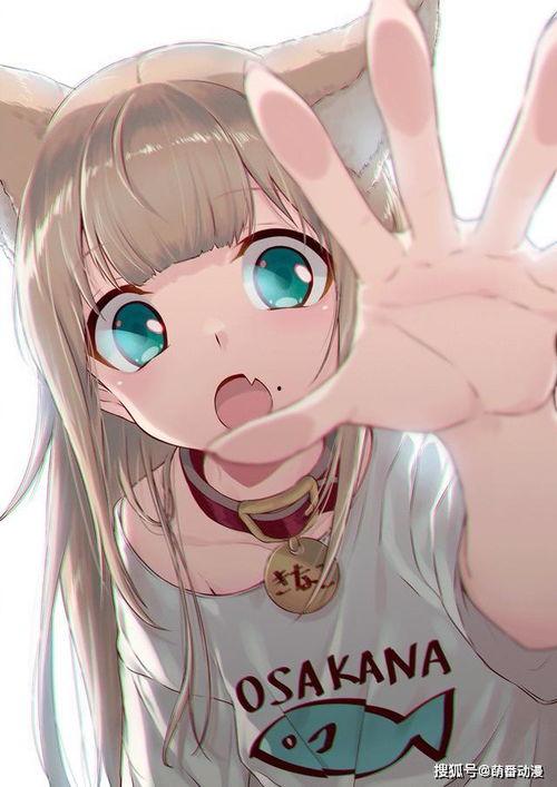 成人趣味服装猫娘视频,成人趣味服装视频大揭秘