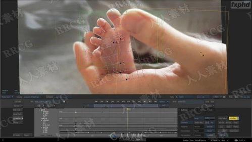 成人电人视频教程