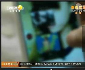 成人福利官网视频,官方视频深度解读