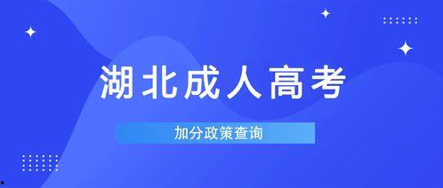 湖北成人高考现场视频,见证梦想起航的瞬间